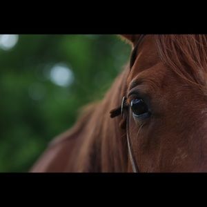 Meet your Posher, Adriana